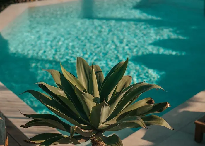 Nomade 4br Over Psarou Platys Gialos (Mykonos)